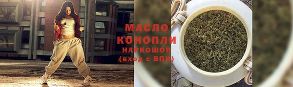 дмт Богородск