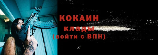 дмт Богородск