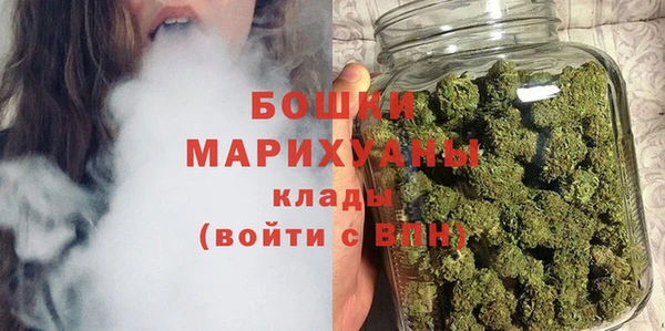 дмт Богородск