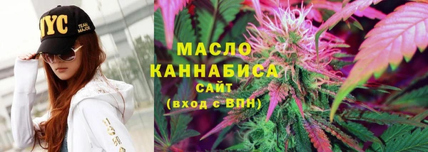 дмт Богородск