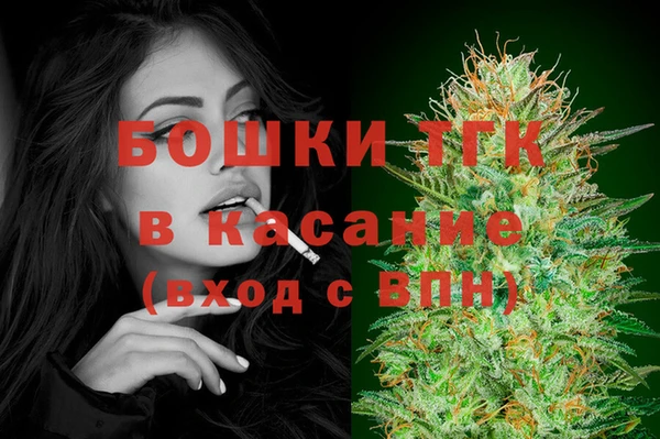 дмт Богородск