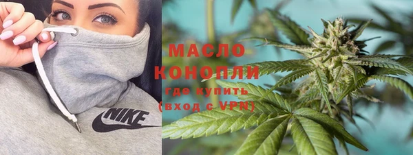 дмт Богородск