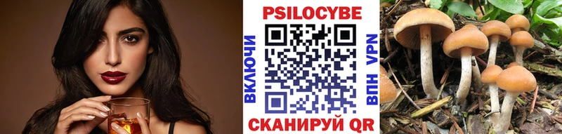 Галлюциногенные грибы прущие грибы Купить закладки Ногинск